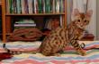 tn_gallery_1090_960_25594.jpg