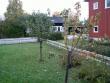 tn_gallery_3388_1166_45185.jpg