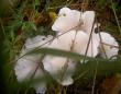 tn_gallery_834_1168_8004.jpg