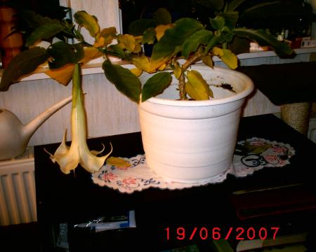 gallery_12349_1176_7813.jpg