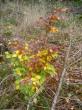 tn_gallery_834_1168_46924.jpg