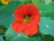 tn_gallery_11610_1181_119806.jpg