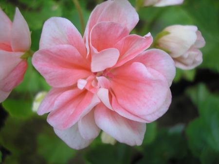 gallery_5783_1182_30776.jpg