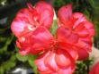tn_gallery_5783_1182_19751.jpg