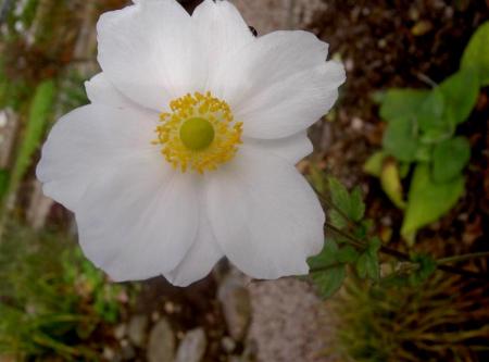 gallery_834_1080_20630.jpg