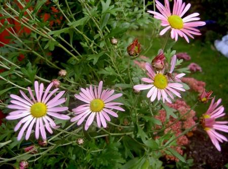 gallery_834_1080_75011.jpg