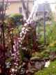 tn_gallery_834_1080_30593.jpg