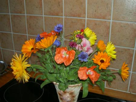 gallery_9134_894_58468.jpg
