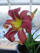 tn_gallery_3485_1189_79653.jpg