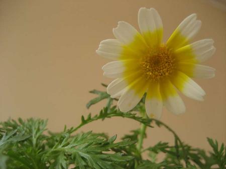 gallery_1011_1199_24957.jpg