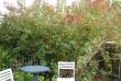 tn_gallery_5473_1200_8661.jpg