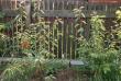 tn_gallery_5473_1200_89836.jpg