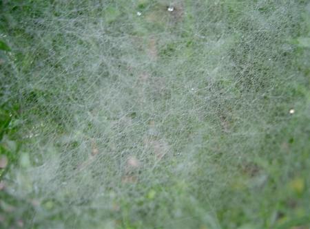 gallery_834_1080_34505.jpg