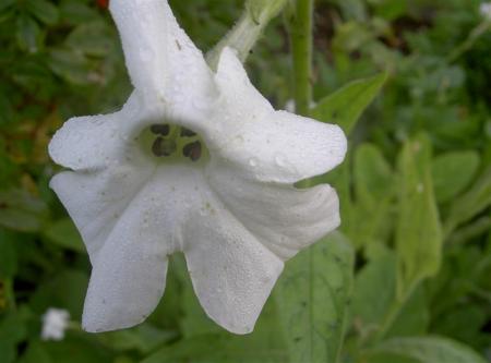 gallery_834_1080_40590.jpg