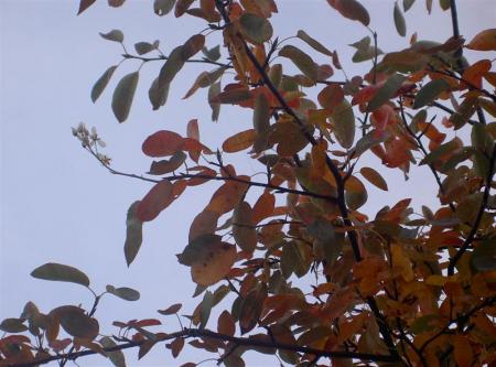 gallery_834_1080_42105.jpg
