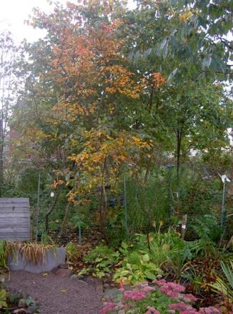 gallery_834_1080_56391.jpg
