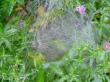 tn_gallery_834_1080_1074.jpg