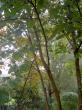 tn_gallery_834_1080_17248.jpg