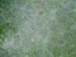 tn_gallery_834_1080_34505.jpg