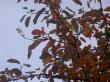 tn_gallery_834_1080_42105.jpg