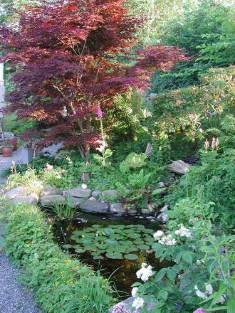 gallery_250_1219_108724.jpg