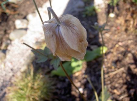 gallery_834_1080_21073.jpg
