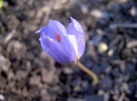 gallery_834_1080_29484.jpg