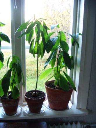 gallery_8901_1232_14377.jpg