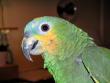 tn_gallery_4958_661_86317.jpg