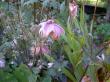 tn_gallery_834_1080_8.jpg