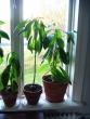 tn_gallery_8901_1232_14377.jpg