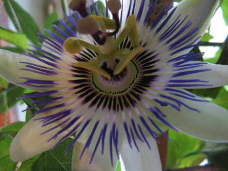 gallery_10677_1246_305037.jpg