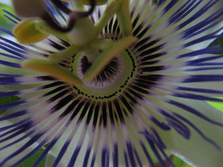 gallery_10677_1246_41336.jpg