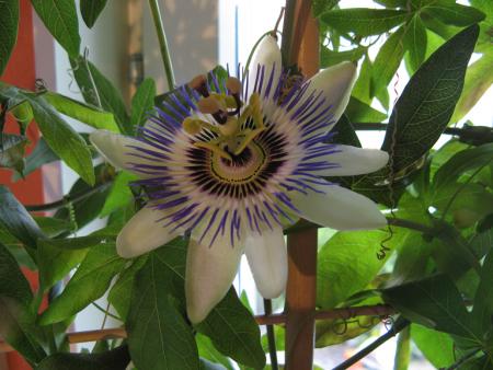 gallery_10677_1246_457058.jpg