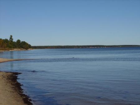 gallery_5307_609_62214.jpg