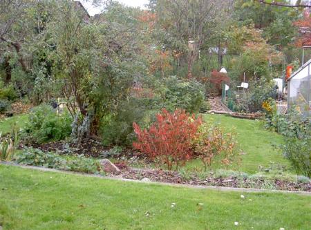 gallery_834_1080_106059.jpg