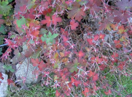 gallery_834_1080_94748.jpg