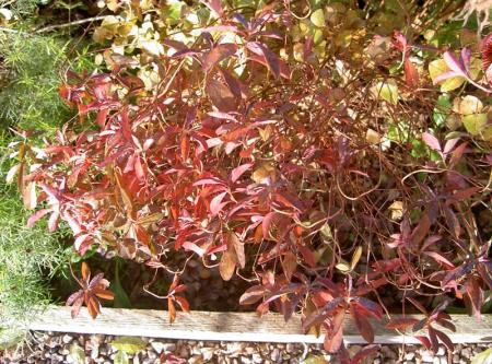 gallery_834_1080_138679.jpg