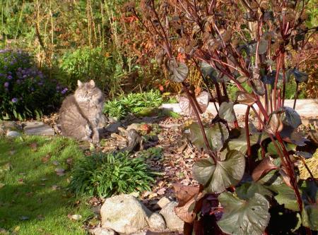 gallery_834_1080_14711.jpg