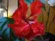 tn_gallery_10231_831_46622.jpg