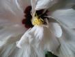 tn_gallery_4113_189_16752.jpg