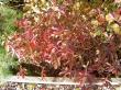 tn_gallery_834_1080_138679.jpg