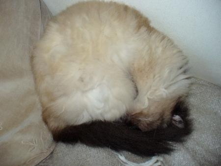 gallery_10231_1147_13609.jpg