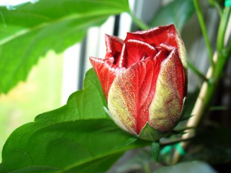 gallery_10231_831_43950.jpg
