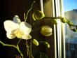 tn_gallery_10231_957_62115.jpg