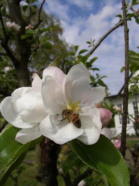 gallery_12788_1260_13565.jpg