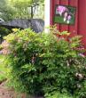 tn_gallery_12788_1260_44244.jpg