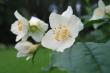 tn_gallery_12788_1260_48265.jpg