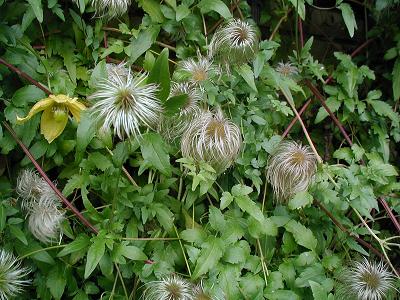 gallery_6954_1286_1325.jpg