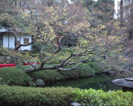 gallery_2208_1284_275260.jpg